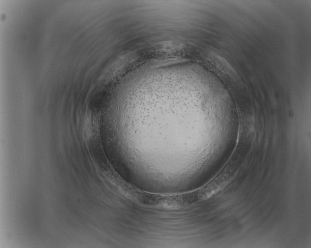 X0000062880236200601201828