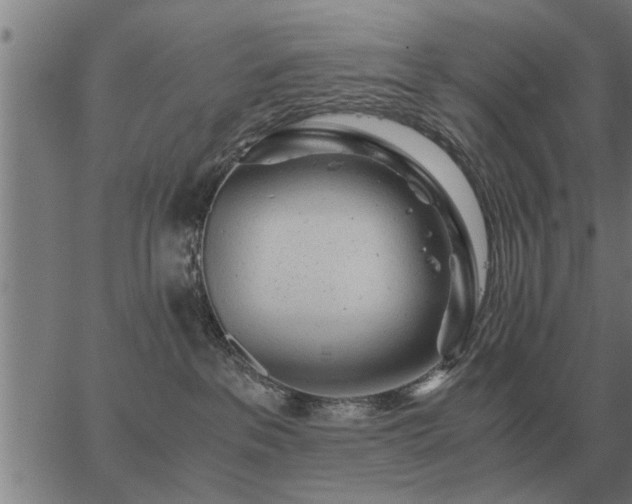 X0000062880237200601201828