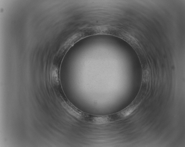 X0000062880238200601201828