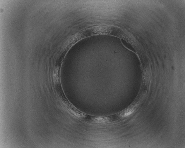 X0000062880239200601201828