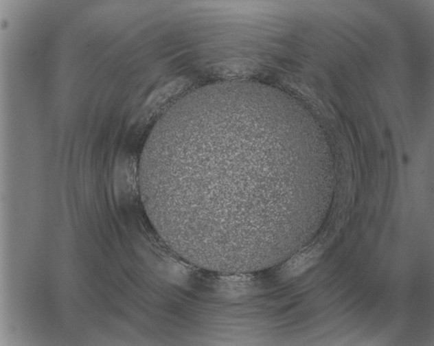 X0000062880240200601201828