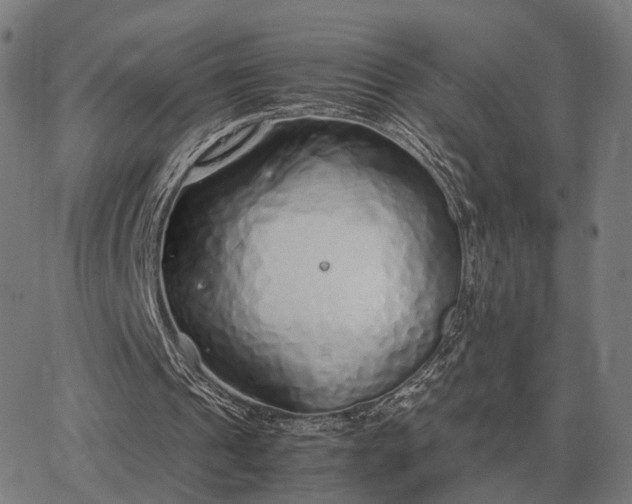 X0000062880241200601201827