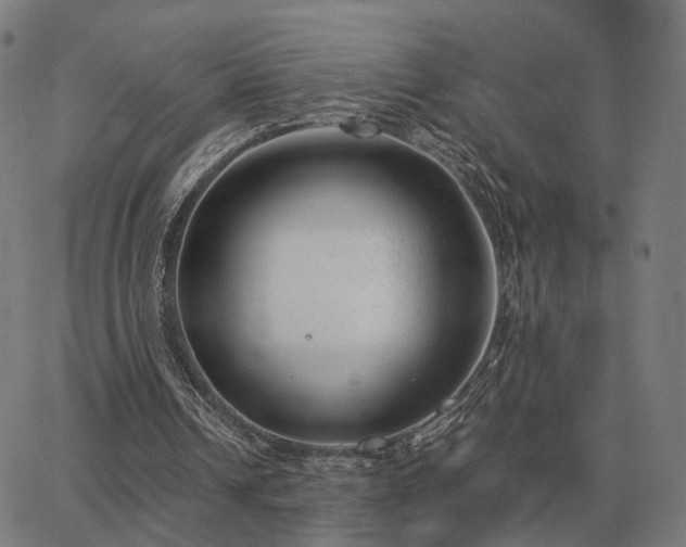 X0000062880242200601201827