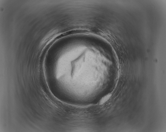 X0000062880243200601201827