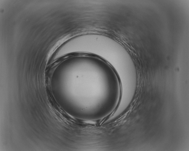 X0000062880244200601201827