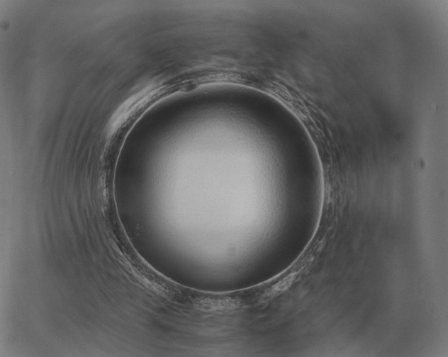 X0000062880245200601201827