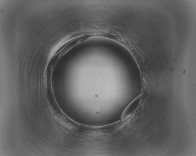 X0000062880246200601201827