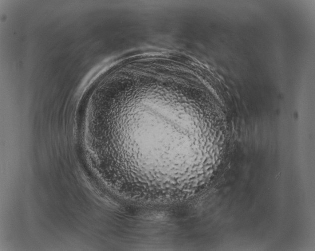 X0000062880247200601201827