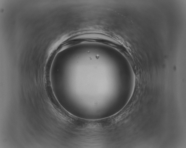 X0000062880248200601201827