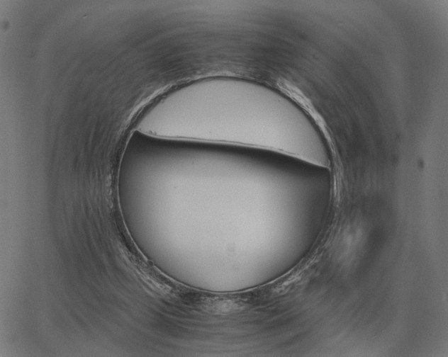 X0000062880249200601201827