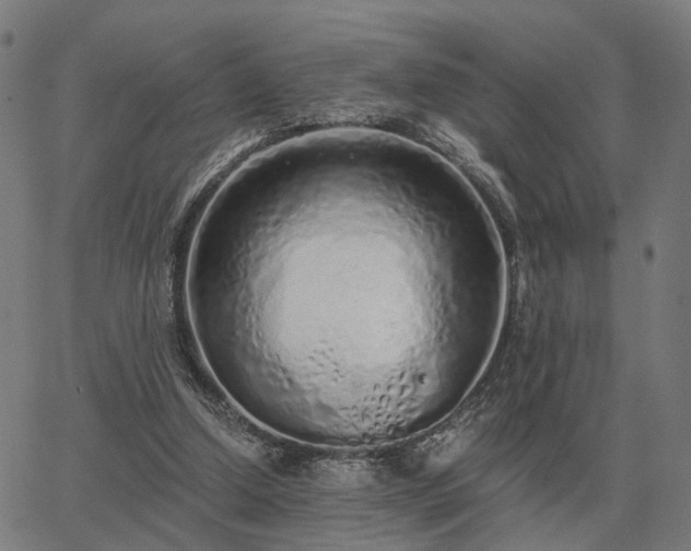 X0000062880250200601201827