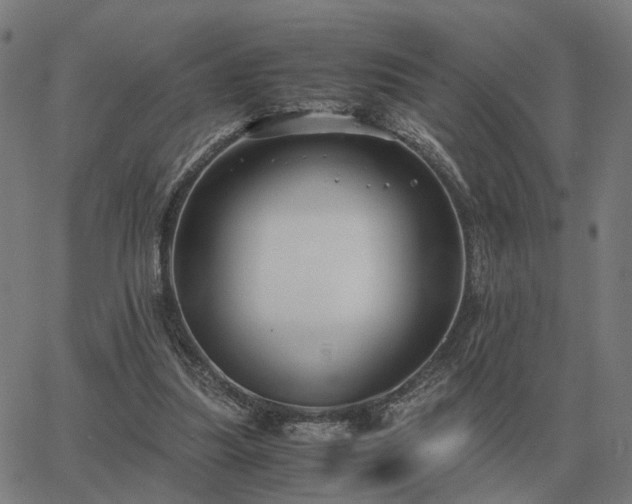 X0000062880251200601201827