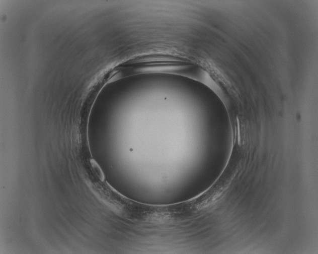 X0000062880252200601201827