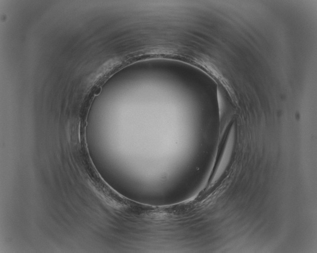 X0000062880253200601201827