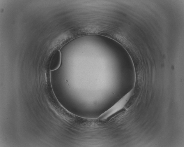 X0000062880254200601201827