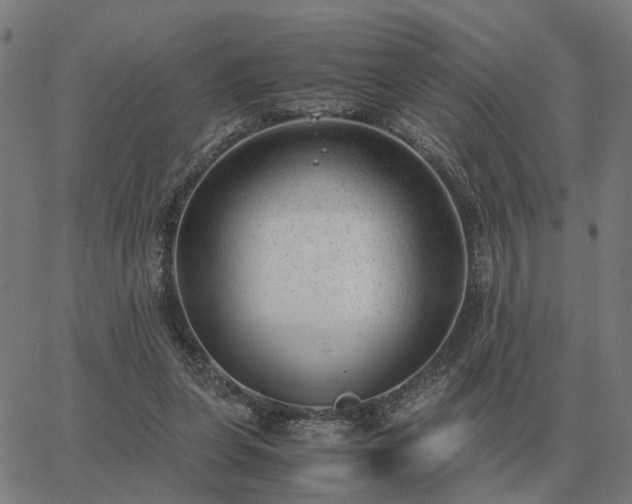 X0000062880255200601201827