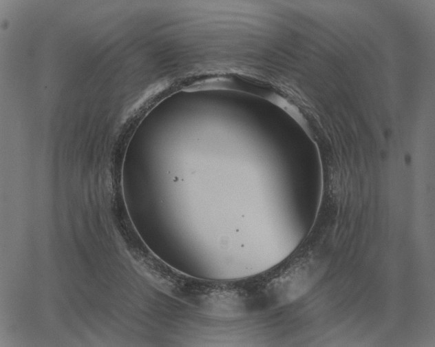 X0000062880256200601201827