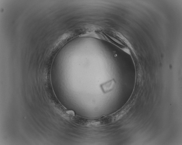 X0000062880257200601201827