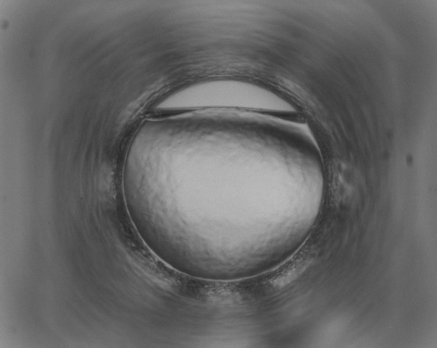 X0000062880258200601201827