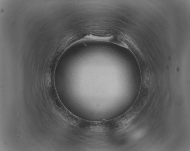 X0000062880259200601201827