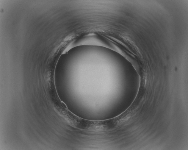 X0000062880260200601201827