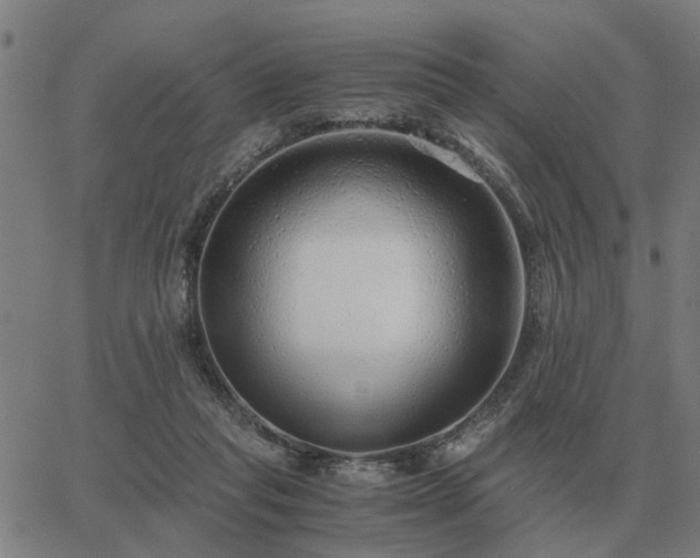 X0000062880261200601201827