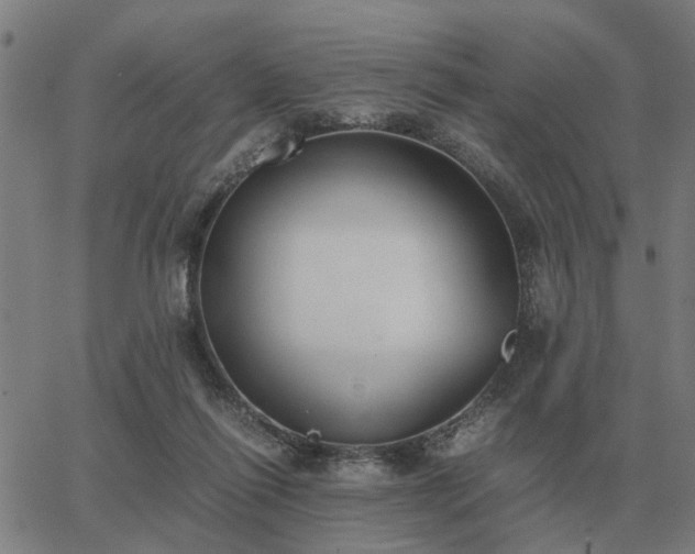 X0000062880262200601201827