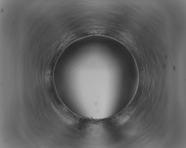 X0000062880263200601201827