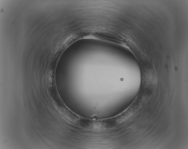 X0000062880264200601201827