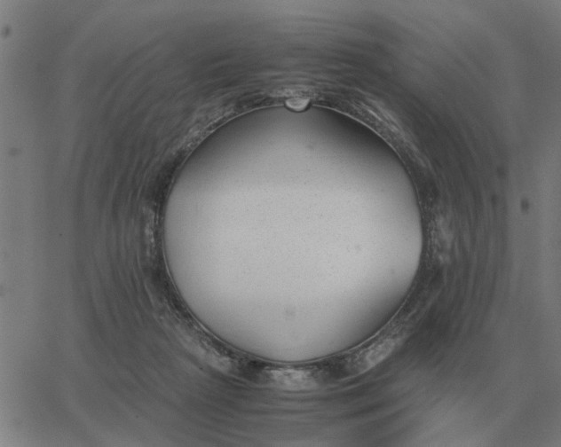 X0000062880265200601201827