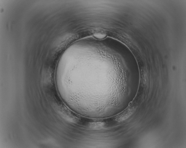 X0000062880266200601201827