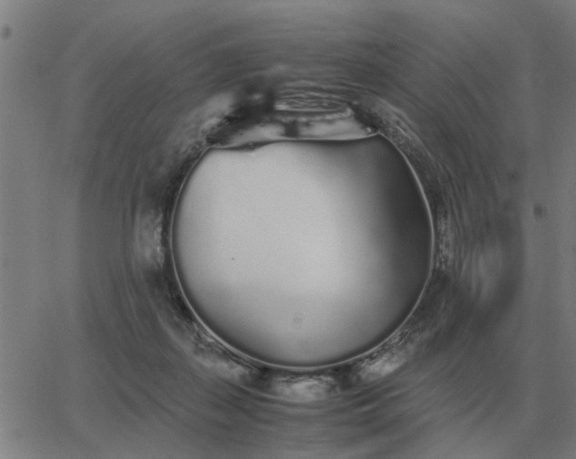 X0000062880267200601201827