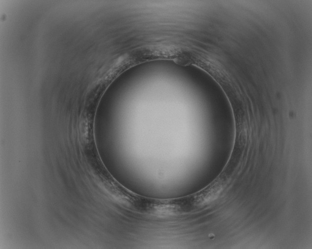 X0000062880268200601201827