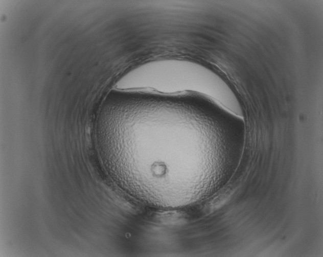 X0000062880269200601201827