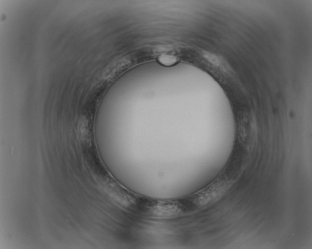 X0000062880270200601201827