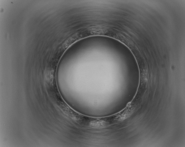 X0000062880271200601201827