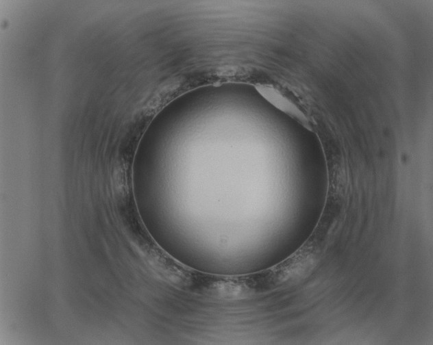 X0000062880272200601201827