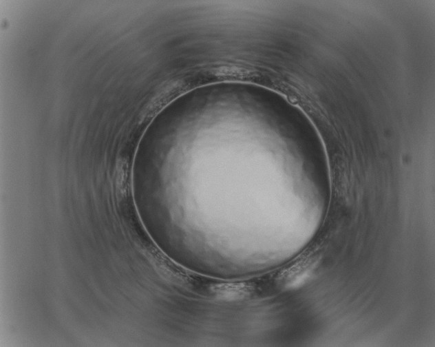 X0000062880273200601201827