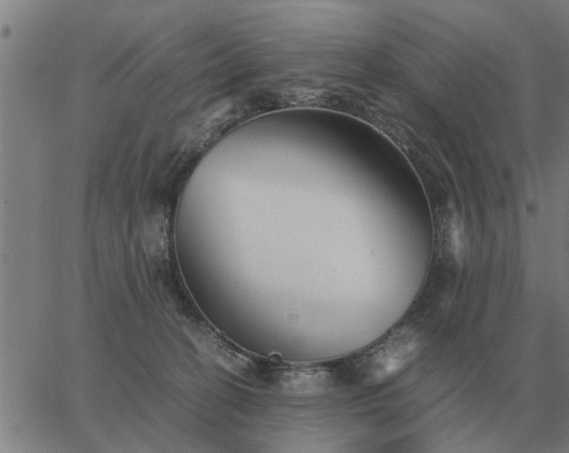 X0000062880274200601201827