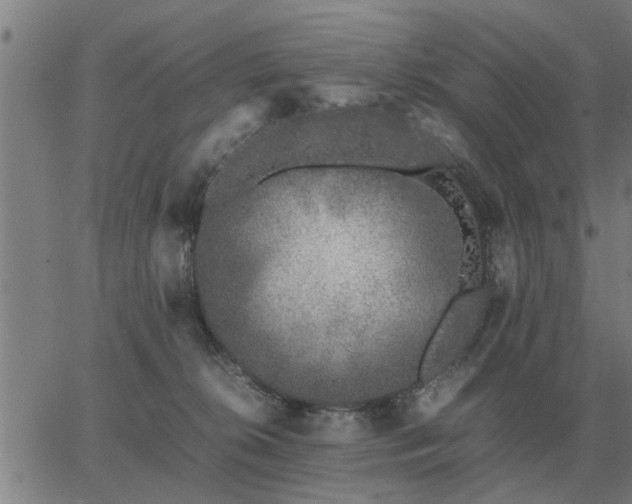 X0000062880276200601201827