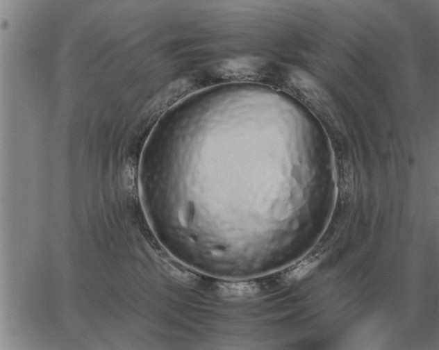 X0000062880281200601201827