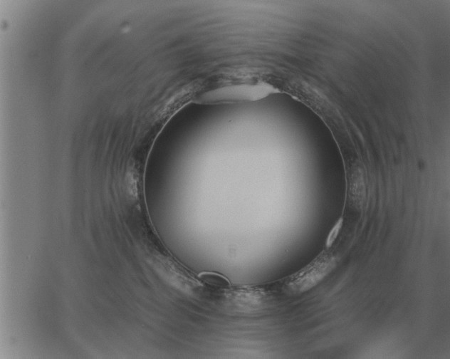 X0000062880282200601201827