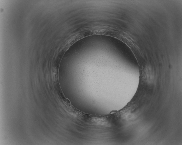 X0000062880283200601201827