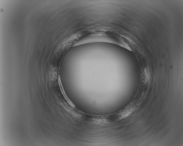 X0000062880284200601201828