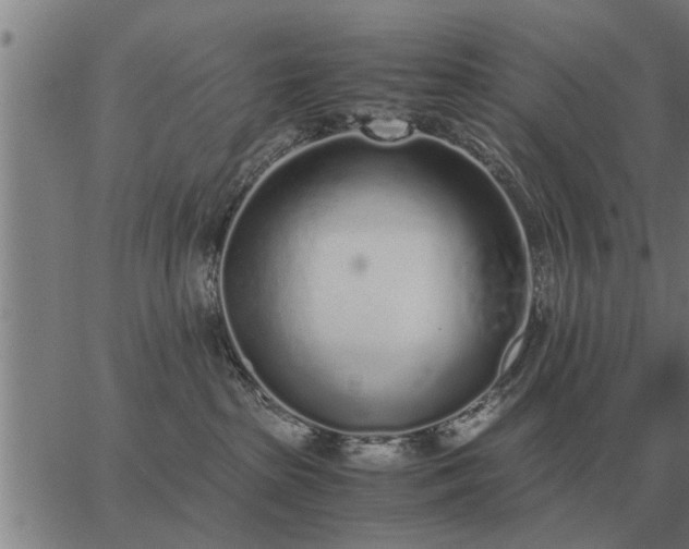 X0000062880285200601201828