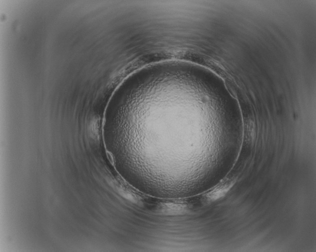 X0000062880286200601201828