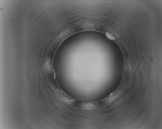 X0000062880287200601201828