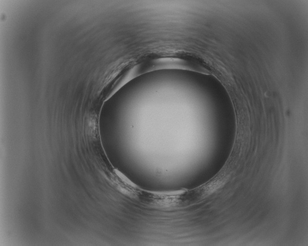 X0000062880288200601201828