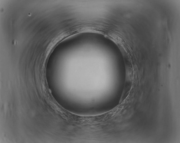 X0000062880289200601201827