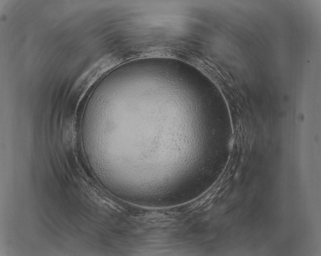 X0000062880290200601201827